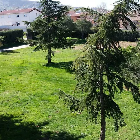 Acebos * Otero de Herreros