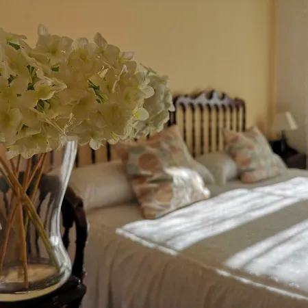 Acebos Otero de Herreros