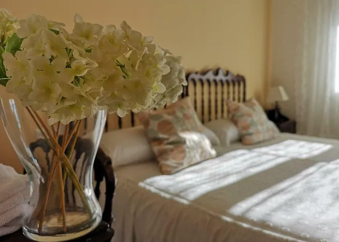 Acebos Otero de Herreros